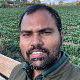 Bhanu Teja Yenumula