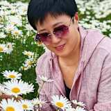 Karen WANG