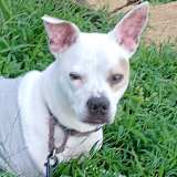 Aeryn