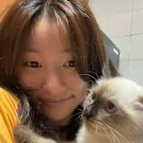 Han Xi