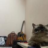 Azhaan