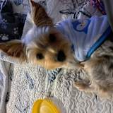 Brenda