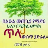 Soly