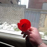 Mohamad