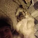 Riley