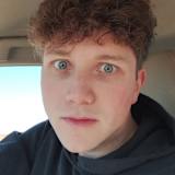 Coy