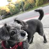 Gary