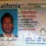 ruben