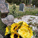 Sunflower Room in Hillside