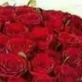 Prasad