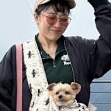 ami