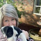Debra J Osborne
