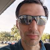 david