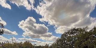 Savannah