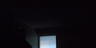 Miss Renee K. Taylor--French Degree--Cleaner--Would-Be Student--Mad for Theatre and Science--Wants to help resolve an unconfirmed Crime