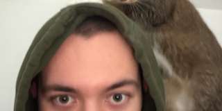 Ivan
