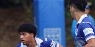Adamson Tautaiolevao