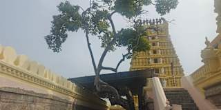 Shreyas