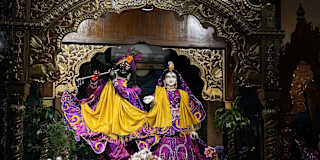 Sanket Suresh Ingle