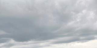 Vivek