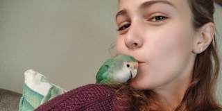 Giani