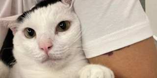 Cin