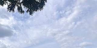 Prithikaa
