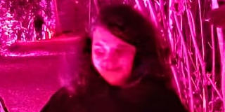 Mery Noemi
