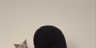 Najah Mohamad