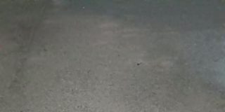 Sahil