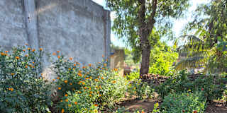 Sagar Ramina