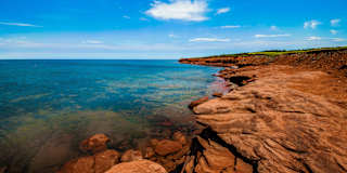 MADUKWE VIC