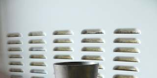 Miss Renee K. Taylor--Wants to be a Student--Does Manual Skills--Has a University Degree--Likes Art and Science--Wants to help resolve an unconfirmed Crime