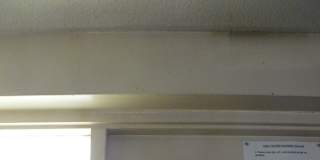 Miss Renee K. Taylor--Wants to study--Does Manual Skills--Has a University Degree--Likes Art and Science--Wants to help resolve an unconfirmed Crime