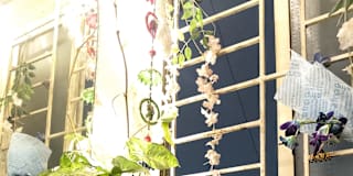 Ashvitha P A