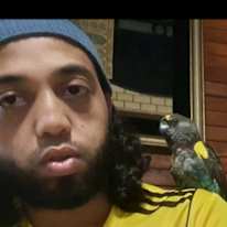 Shameel