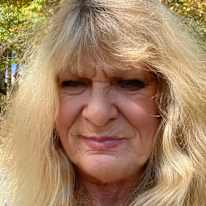 Donna M Olson