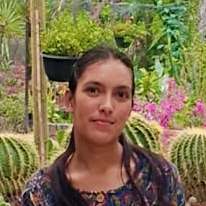 Shilpi