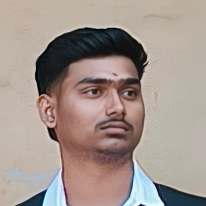 C Sevalal naik