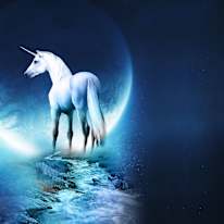 waleed