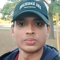 Padmanabhan Sreekumar