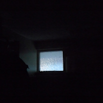 Miss Renee K. Taylor--French Degree--Cleaner--Would-Be Student--Mad for Theatre and Science--Wants to help resolve an unconfirmed Crime