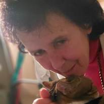 Susan Anne Lobel