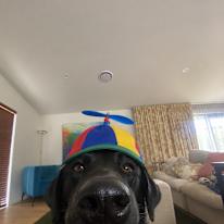 Lenny