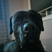 Mateo
