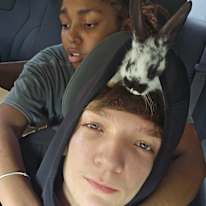 Gavin
