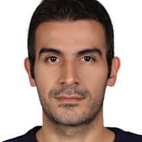 Ali Lari