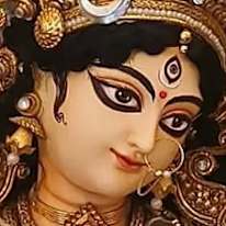 S Roy Chowdhury