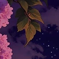 Haneen
