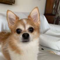Chloe